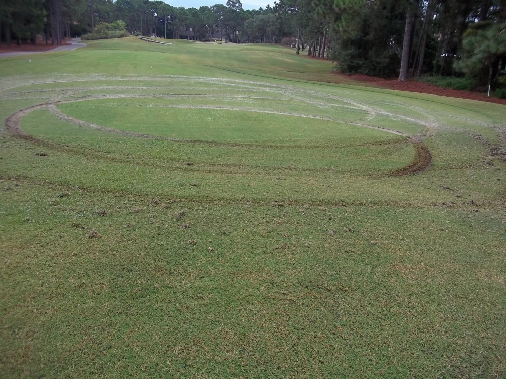 sandestin-gold-course-multiple-doughnuts