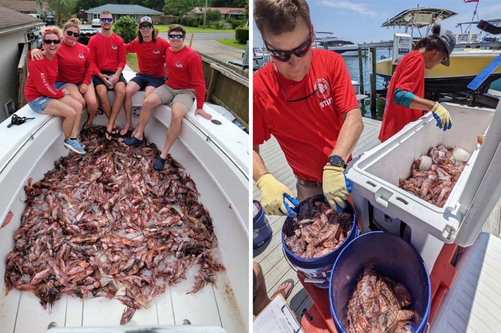 Lionfish News - Get The Coast