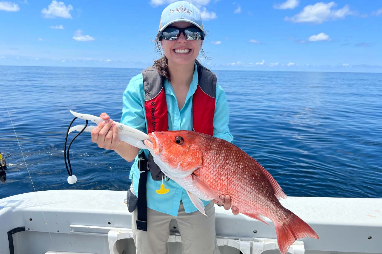 Keeping Gulf Red Snapper on the Road to Recovery