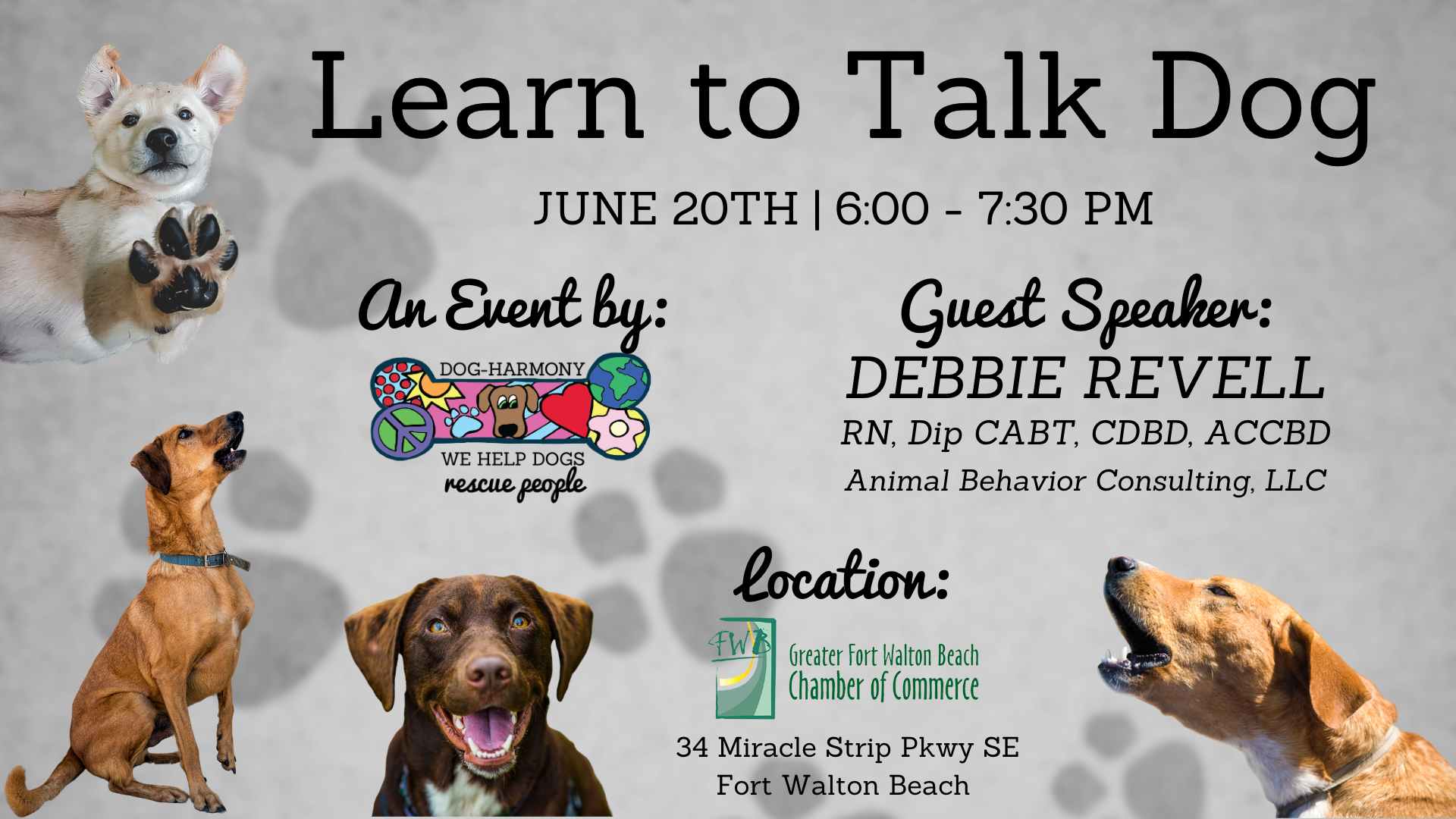 Can Dogs Learn To Talk