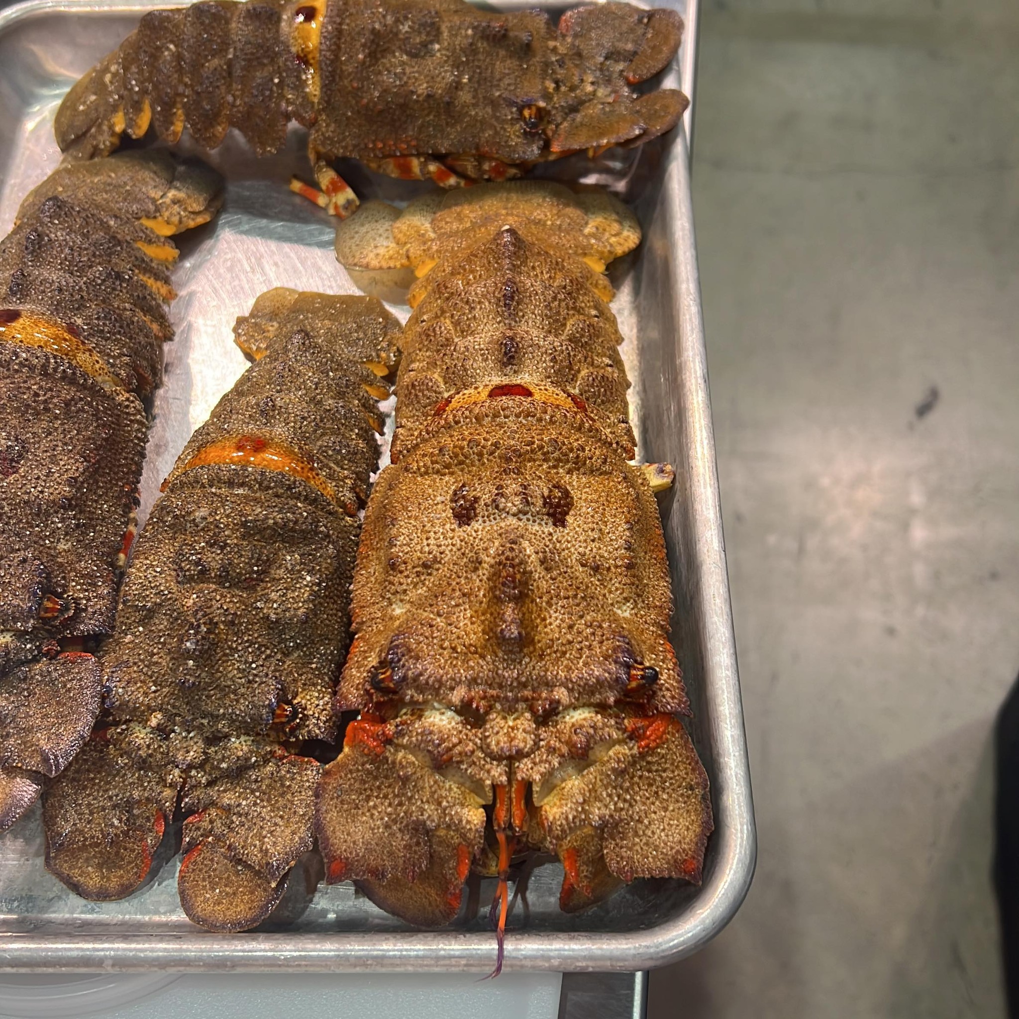 Fresh Sand Lobster or Flathead Lobster or Slipper Lobster (Thenus  Orientalis) Decorated with Herbs and Vegetables . Stock Photo - Image of  slipper, kung: 206977458