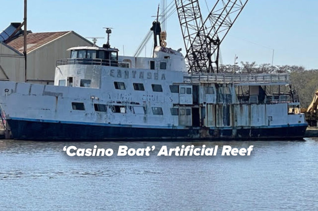 Record-breaking 24,699 lionfish removed during 2023 Emerald Coast Open  Lionfish Tournament